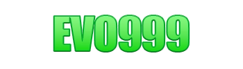 Logo EVO999